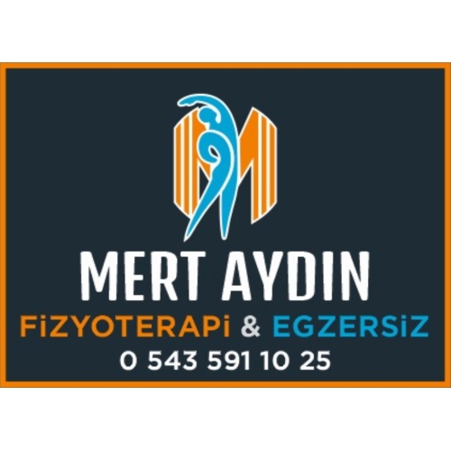 Fizyoterapist